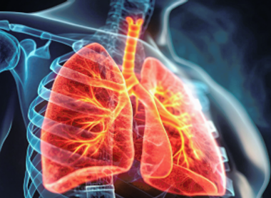 Targeted Therapies.png