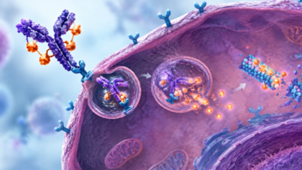 Webinar Tile - Antibody-Drug Conjugates.png