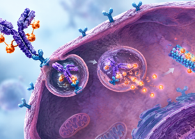 Webinar Tile - Antibody-Drug Conjugates.png