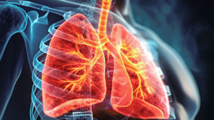 Asbestos Awareness.png