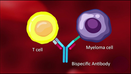 Bispecific-antibody-1024x576_edited.jpg