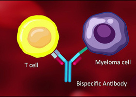 Bispecific-antibody-1024x576_edited.jpg