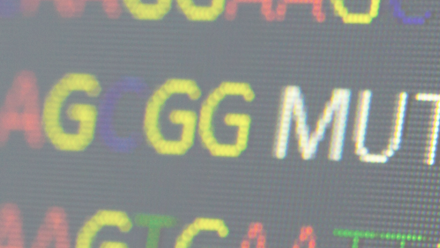 Genetic Mainstreaming.png