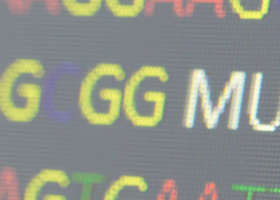 Genetic Mainstreaming.png