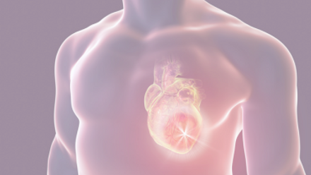 Cardiology.png