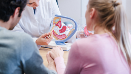_fertility preservation for children .png