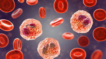 Haematology.png