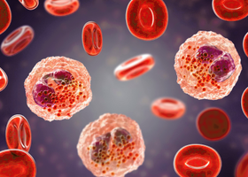 Haematology.png
